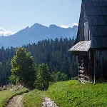Gosciniec U Marzeny Apartamento Bukowina Tatrzańska