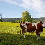 Lägenhet Gosciniec U Marzeny Bukowina Tatrzańska