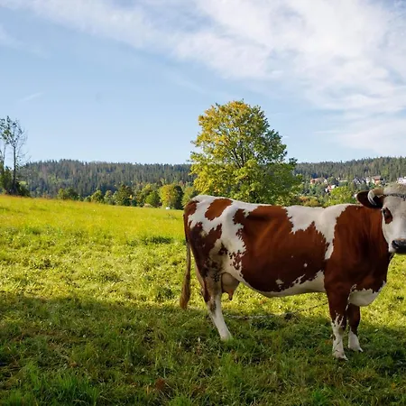 Horská chata Gosciniec U Marzeny Tatranská Bukovina